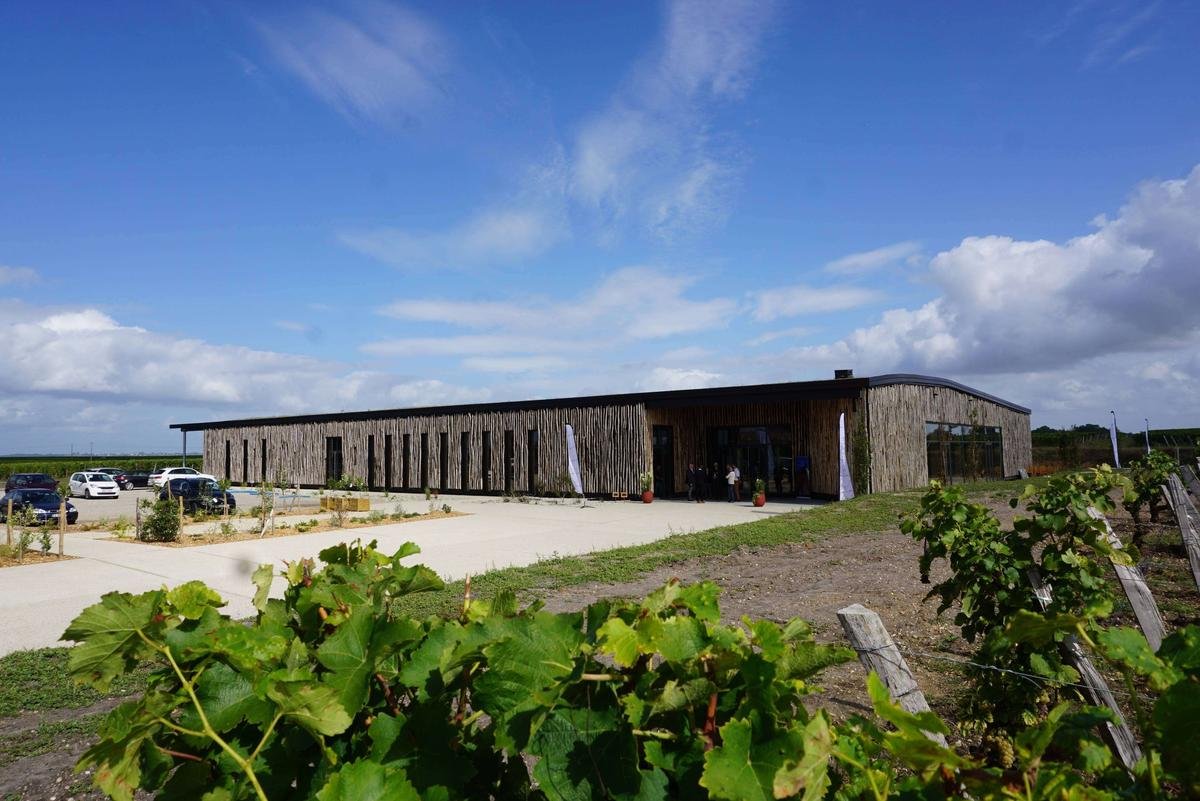 Sauternes : le projet d’hôtel de luxe du château d’Arche mis entre parenthèses