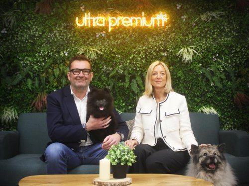 Croquettes et pâtées pour chiens et chats : à Agen, Ultra Premium Direct est devenu leader de l’alimentation animale