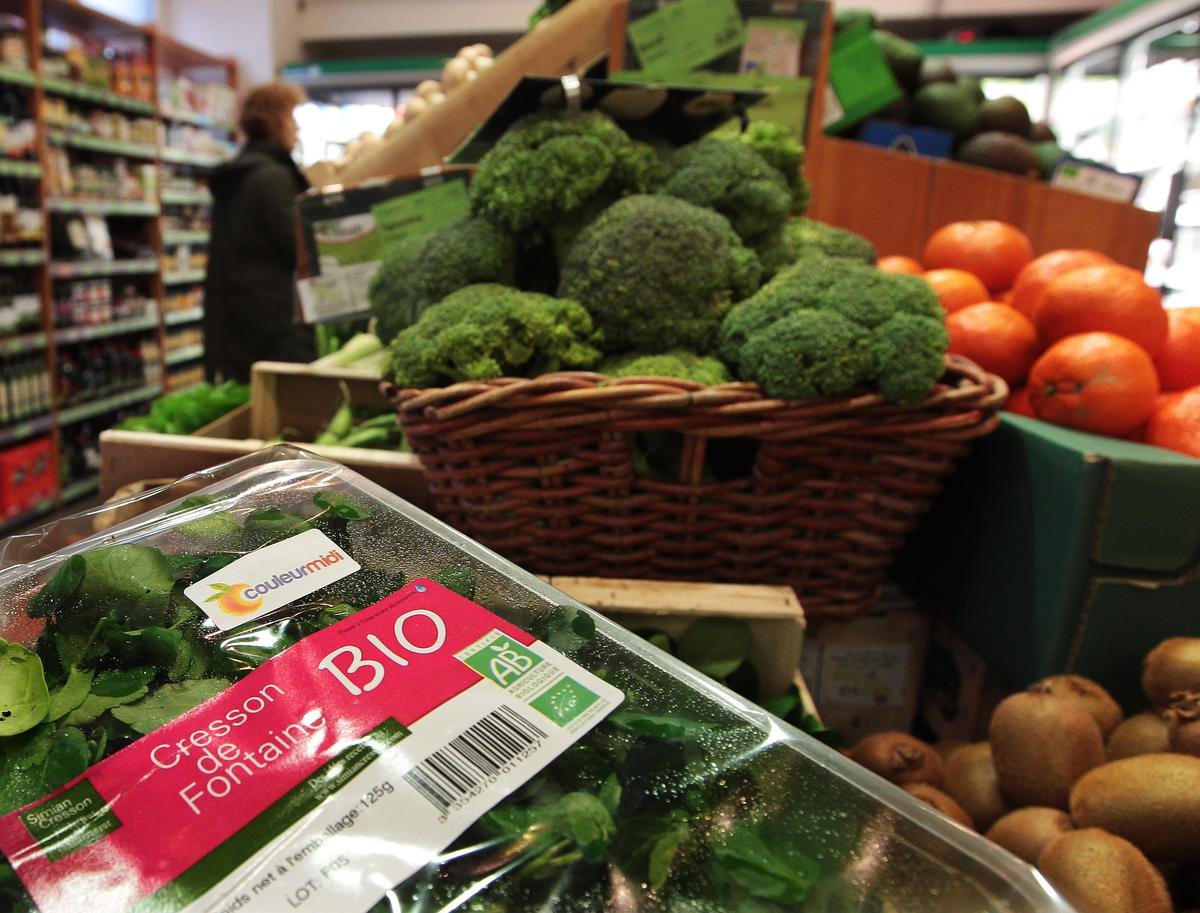 Lot-et-Garonne. « Nous, les pionniers du 47, partons à la retraite » : à quelques jours du mois de la bio, où en est la filière ?