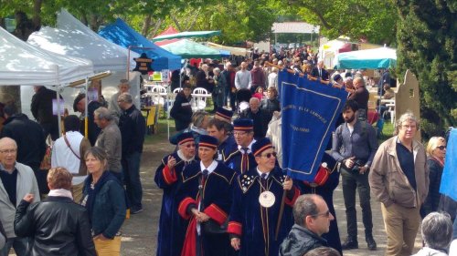 Gironde : « On ne peut pas célébrer quelque chose qui est en train de mourir », la Fête de la lamproie est annulée