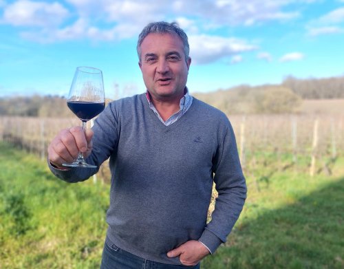 Vins de Bordeaux : l’Entre-deux-Mers passe au rouge, pour « valoriser ses pépites »