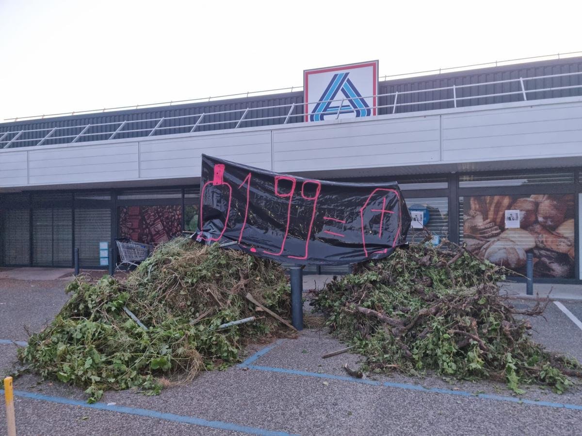 En Gironde, des pieds de vigne déposés devant des supermarchés Aldi pour dénoncer les « prix destructeurs pratiqués »