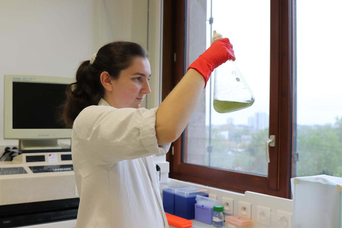 Biotechnologies : « le potentiel est incroyable », spécialisée dans les microalgues, Neo Earth s’installe à Canéjan