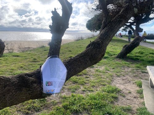 Lanton : Des œuvres sur les arbres pour le Printemps des poètes
