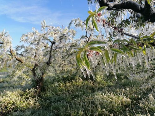 Meteo Le Gel A De Nouveau Touche Le Lot Et Garonne Dans La Nuit Flipboard