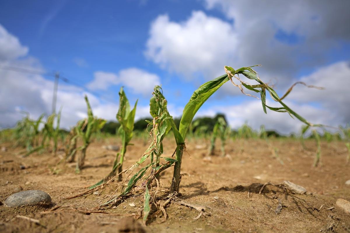 Landes : le Département déclenche son fonds d’urgence pour soutenir les agriculteurs