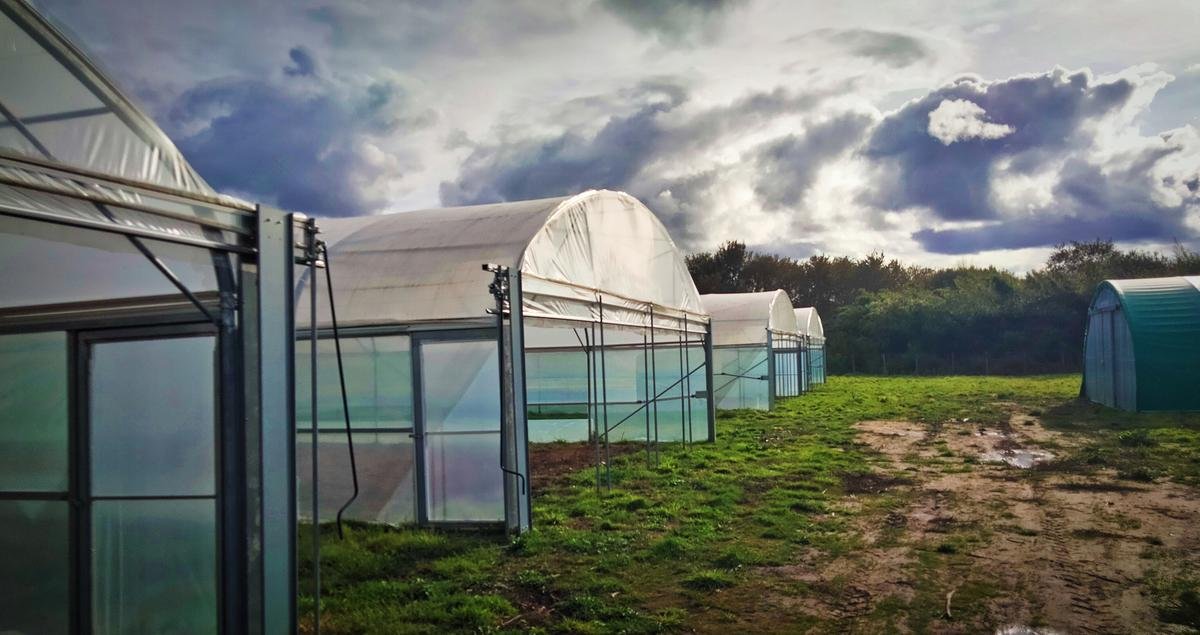 Morcenx-la-Nouvelle : les Jardins de Moré prêts à accueillir de nouveaux maraîchers bio