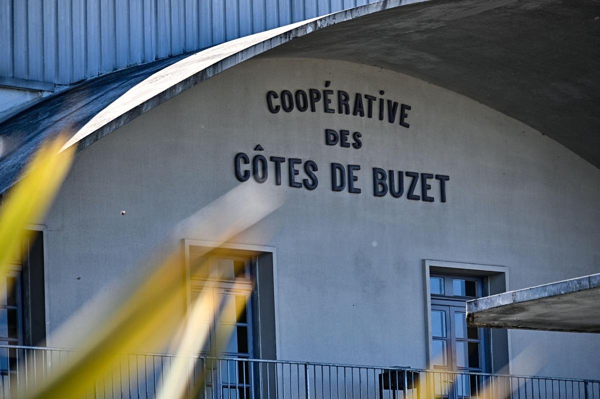 Vignerons de Buzet : la cave n’a pas à payer les 477 000 euros dus à son ancien directeur