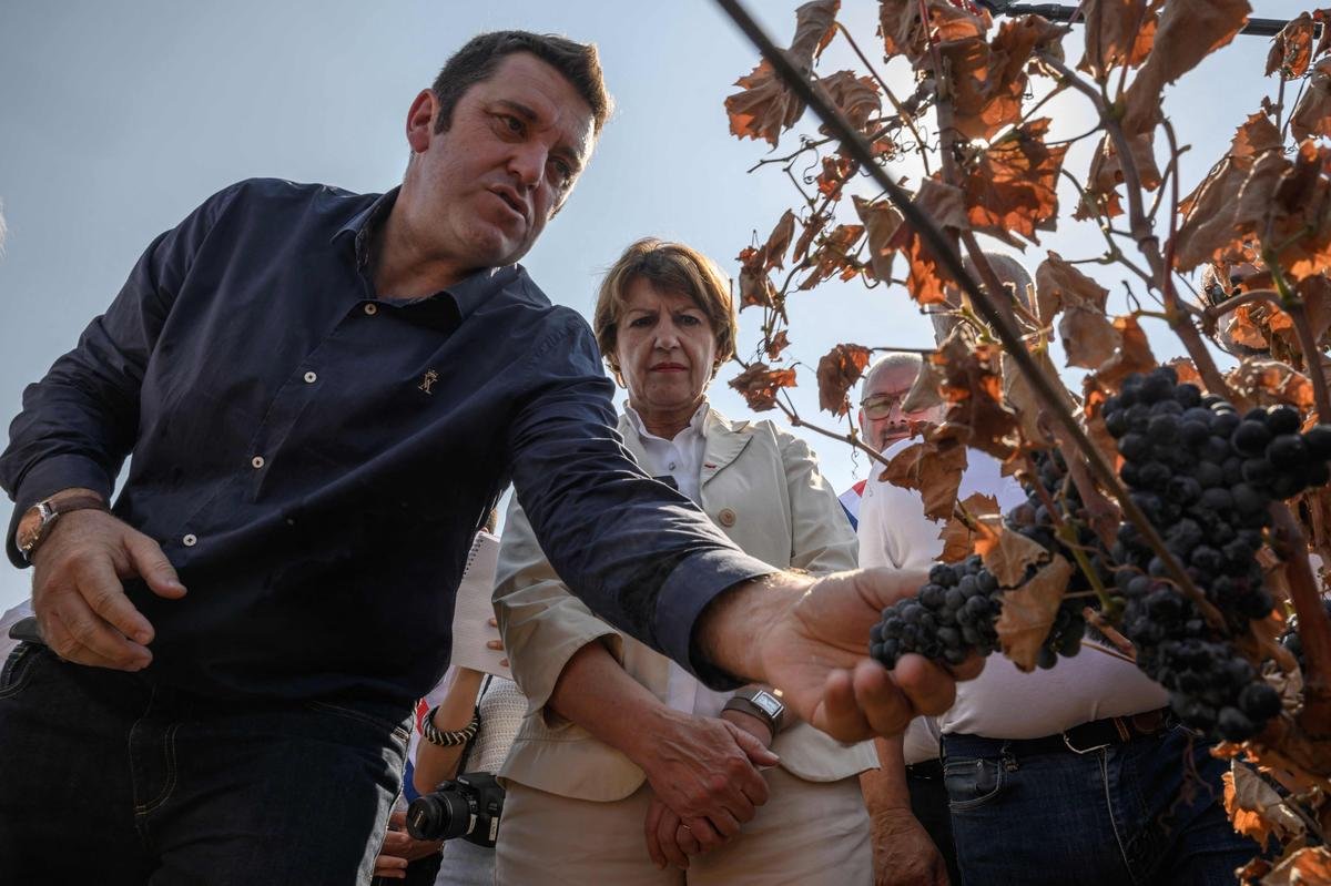 Incendie dans l’Aude : la ministre de l’Agriculture exprime la « solidarité nationale » auprès des vignerons sinistrés