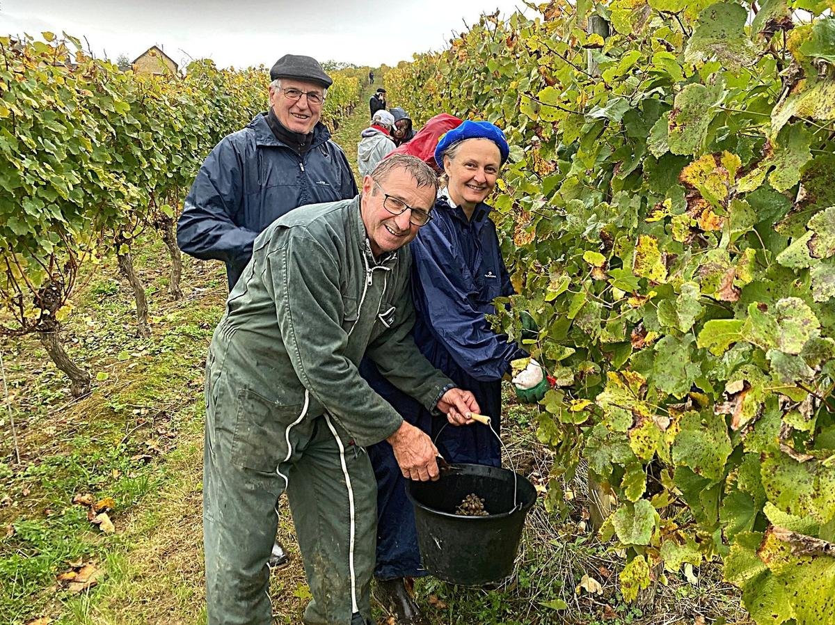 Béarn : à Gayon, l’association Patrimoine Doléris vendange La Perle Doléris