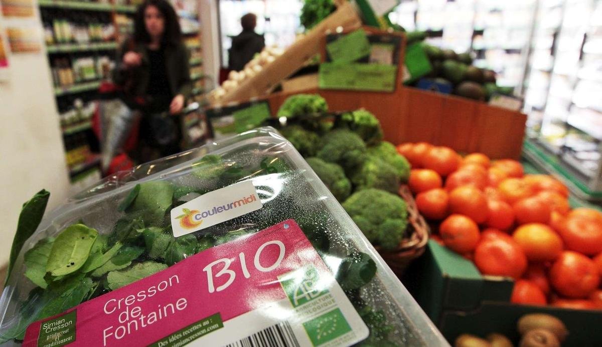 Agriculture bio : nouvelle baisse des surfaces en 2024 mais légère reprise de la consommation