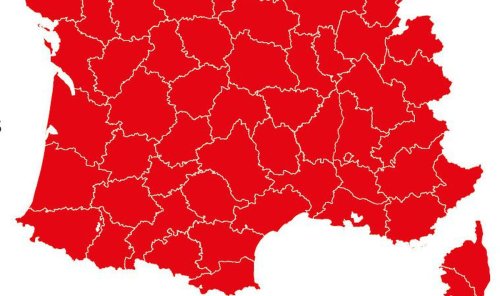 Carte. Alerte rouge aux pollens : le risque d’allergies reste élevé dans presque toute la France