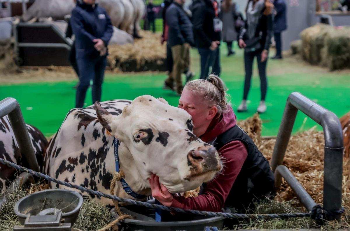 Salon de l’Agriculture : nos photos insolites et humoristiques liées aux animaux