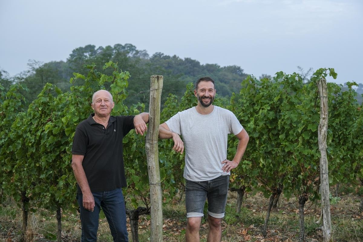 Vendanges dans les Landes : 600 hectolitres de sauvignon blanc récoltés dans le Tursan avec quinze jours d’avance par rapport à 2024
