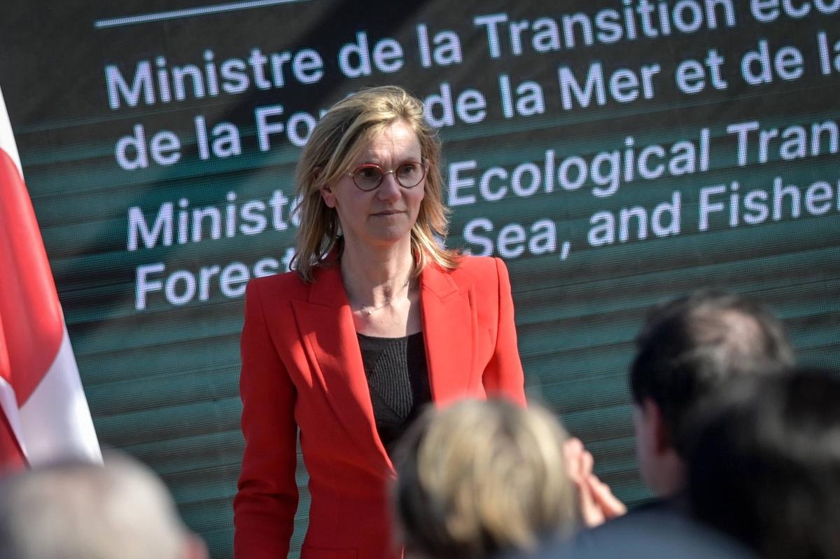Néonicotinoïdes : la ministre de la Transition écologique réaffirme son opposition à la réautorisation d’un insecticide