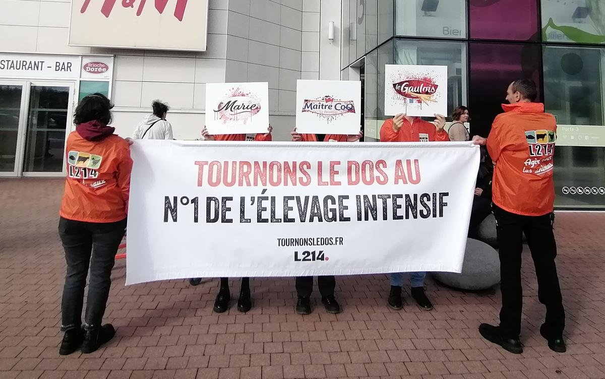 A Périgueux, L214 organise l’opération « Sauvetage du siècle » afin de réduire le nombre d’animaux tués pour l’alimentation