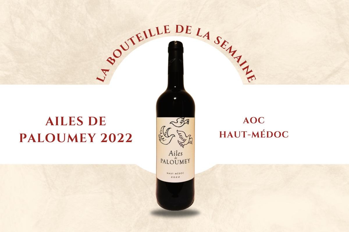 Les Ailes de Paloumey 2022 : un vin souple et généreux