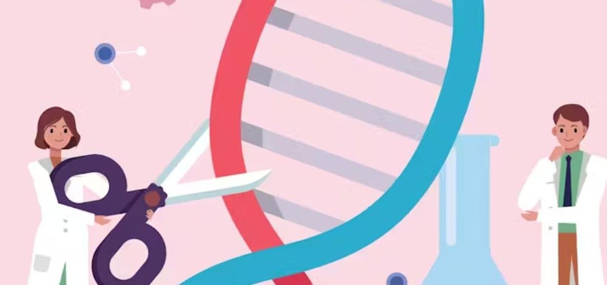 « Nouveaux OGM » : quels risques en Europe à autoriser les semences issues des nouvelles techniques génomiques ?