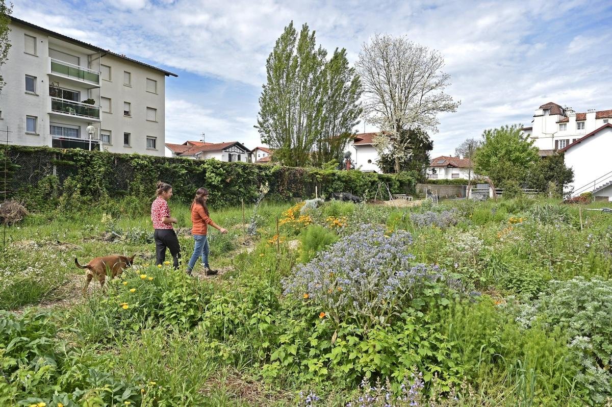 Biarritz : avec le nouveau plan d’urbanisme, plus de nature et moins de constructions