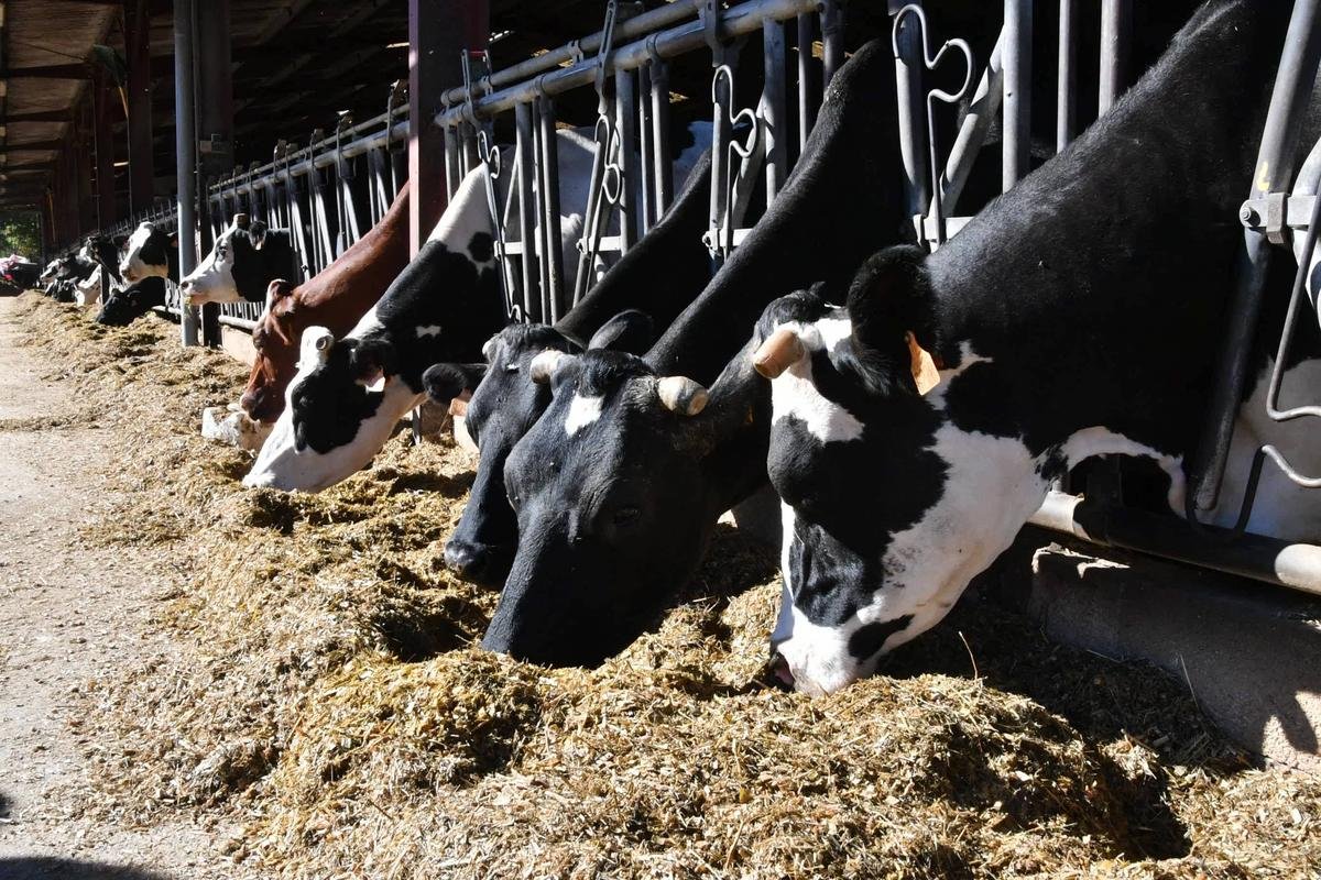 La Chambre d’agriculture et l’Agglo d’Agen organisent une journée de rencontres autour de l’installation