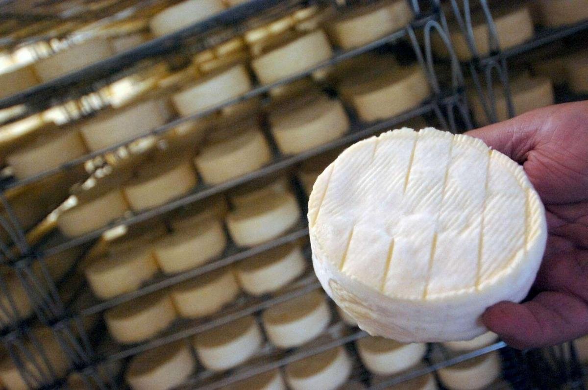 La Chine va taxer les produits laitiers européens : un « coup de massue » pour les exportateurs français