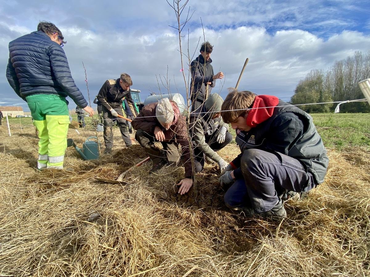 Près de Marmande, une parcelle test de renaturation pour sensibiliser aux changements de la biodiversité