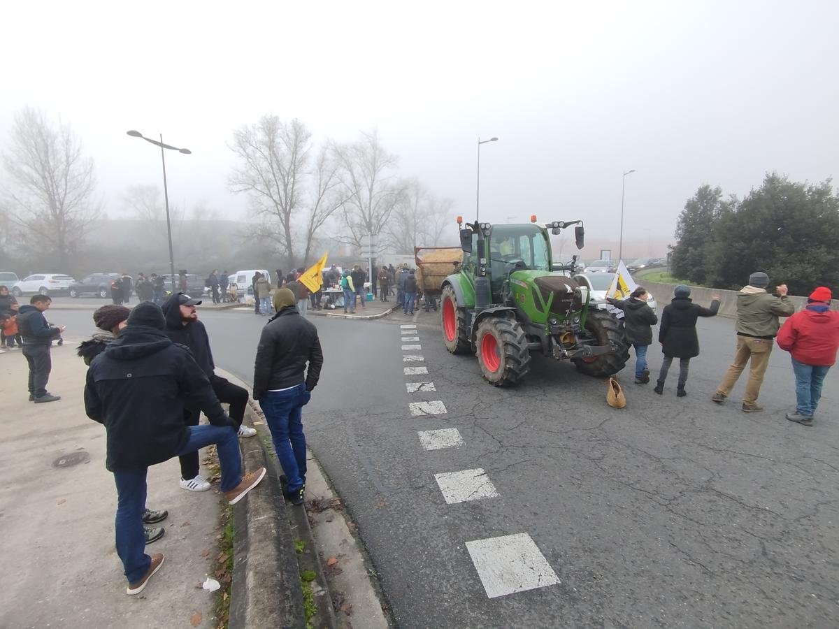 Vidéo. Dermatose et colère des agriculteurs : la Confédération paysanne manifeste sur un rond-point près de Bordeaux