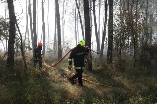 Incendies en Gironde et dans les Landes : à Saint-Magne, « nous sommes épuisés »