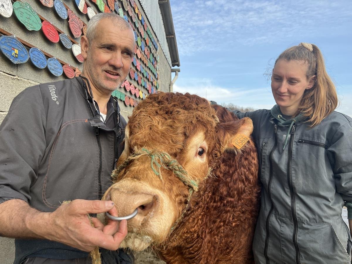 Salon international de l’agriculture 2025 : ils vont représenter les couleurs de la Dordogne