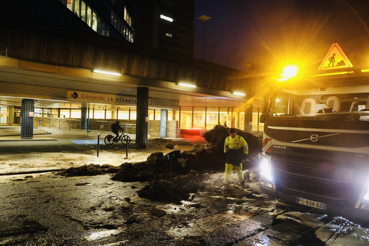 Colère des agriculteurs en Gironde : à Bordeaux, des déchets agricoles déversés et une carcasse de sanglier pendue par la CR 33