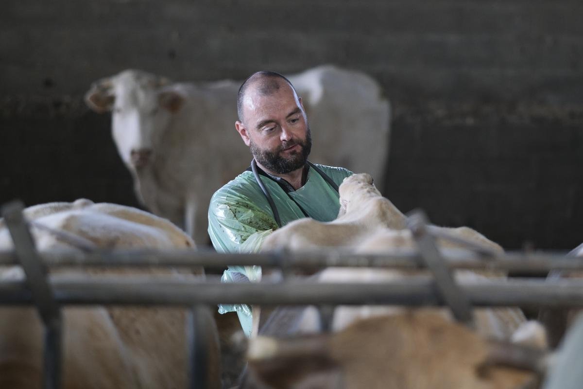 « On a la passion des animaux mais on aime aussi les gens » : journal d’un vétérinaire de campagne dans les Landes