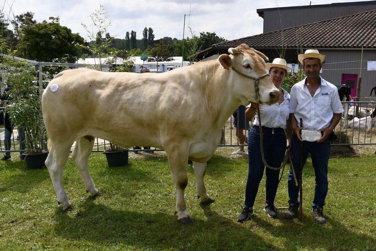 À Sainte-Livrade-sur-Lot, une journée entière dédiée à l’élevage