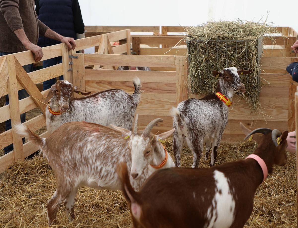 Villeneuve-sur-Lot : la Feria agricole et gourmande invite la Corrèze pour sa troisième édition