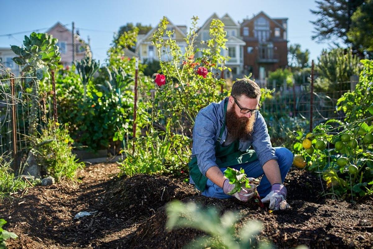 Salon de l’agriculture : qui sont les agriculteurs urbains ?