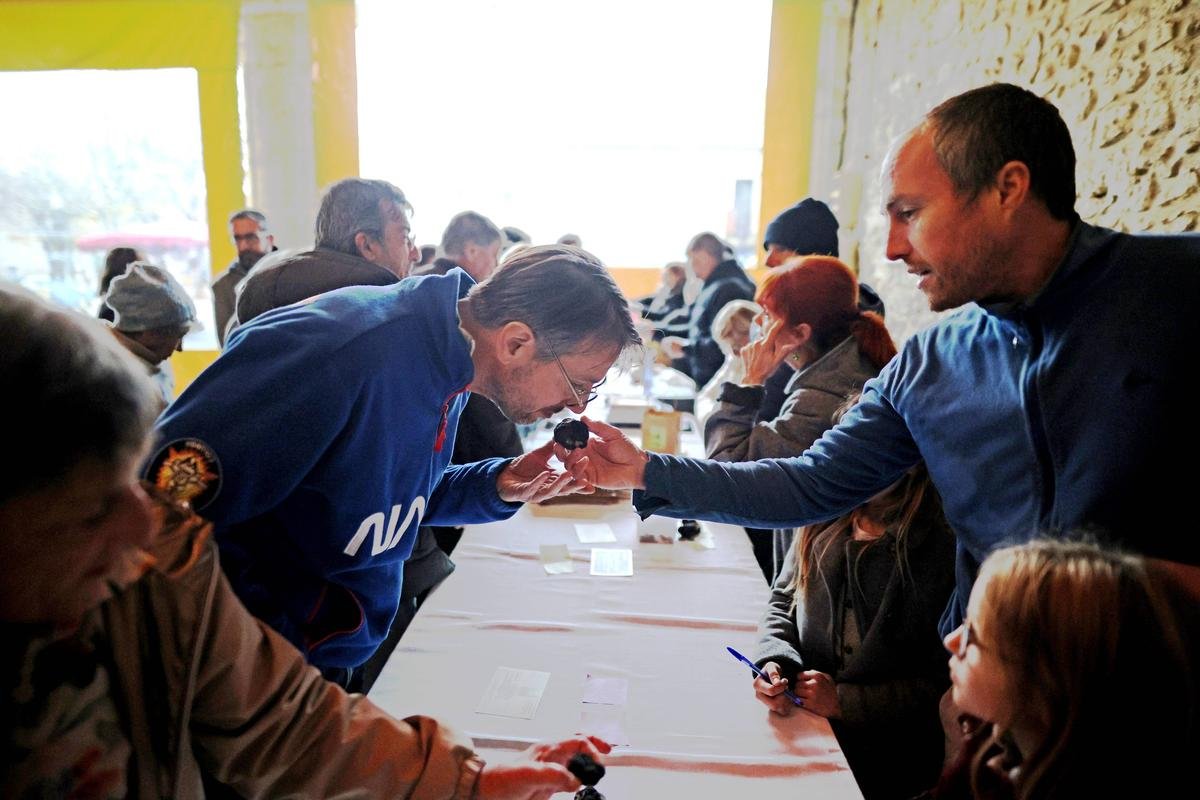 Marché aux truffes en Lot-et-Garonne : un coup d’envoi réussi à Prayssas