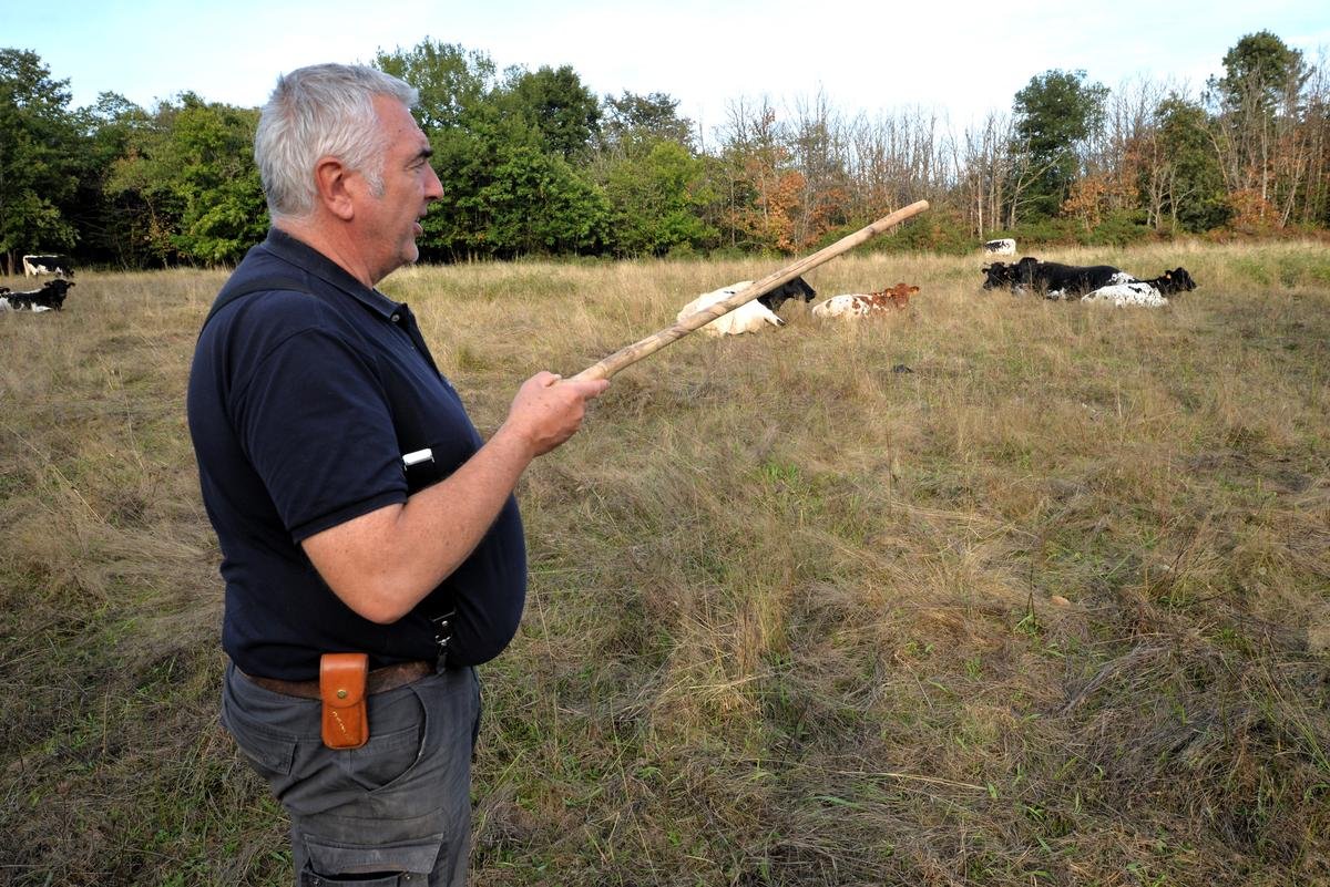 « Le modèle me semble viable » : entre tourisme et races anciennes, l’expérience paysanne d’un gentleman-farmer