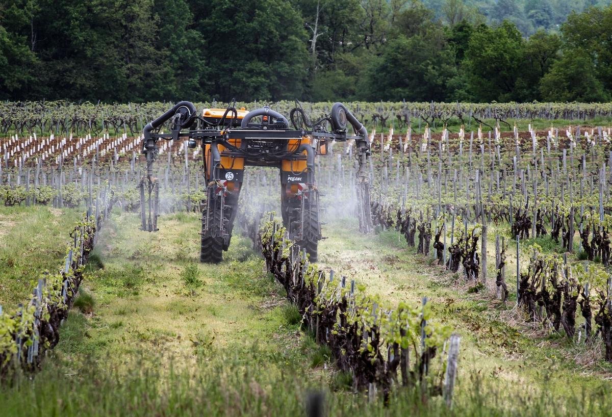 Produits phytosanitaires dans les vignes : que faut-il attendre de l’étude PestiRiv ?