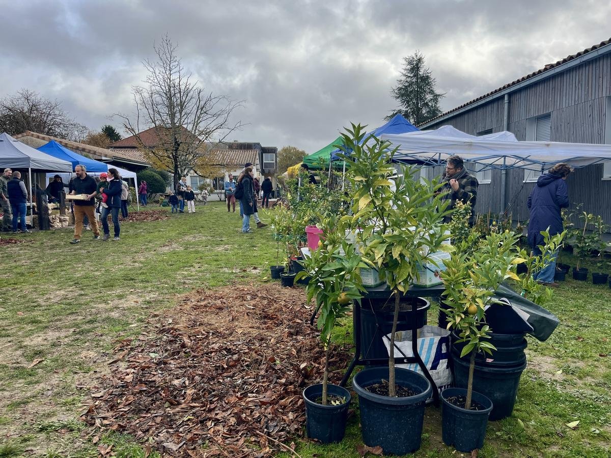 La fête de l’arbre à La Sauve : une journée pour repenser l’agriculture