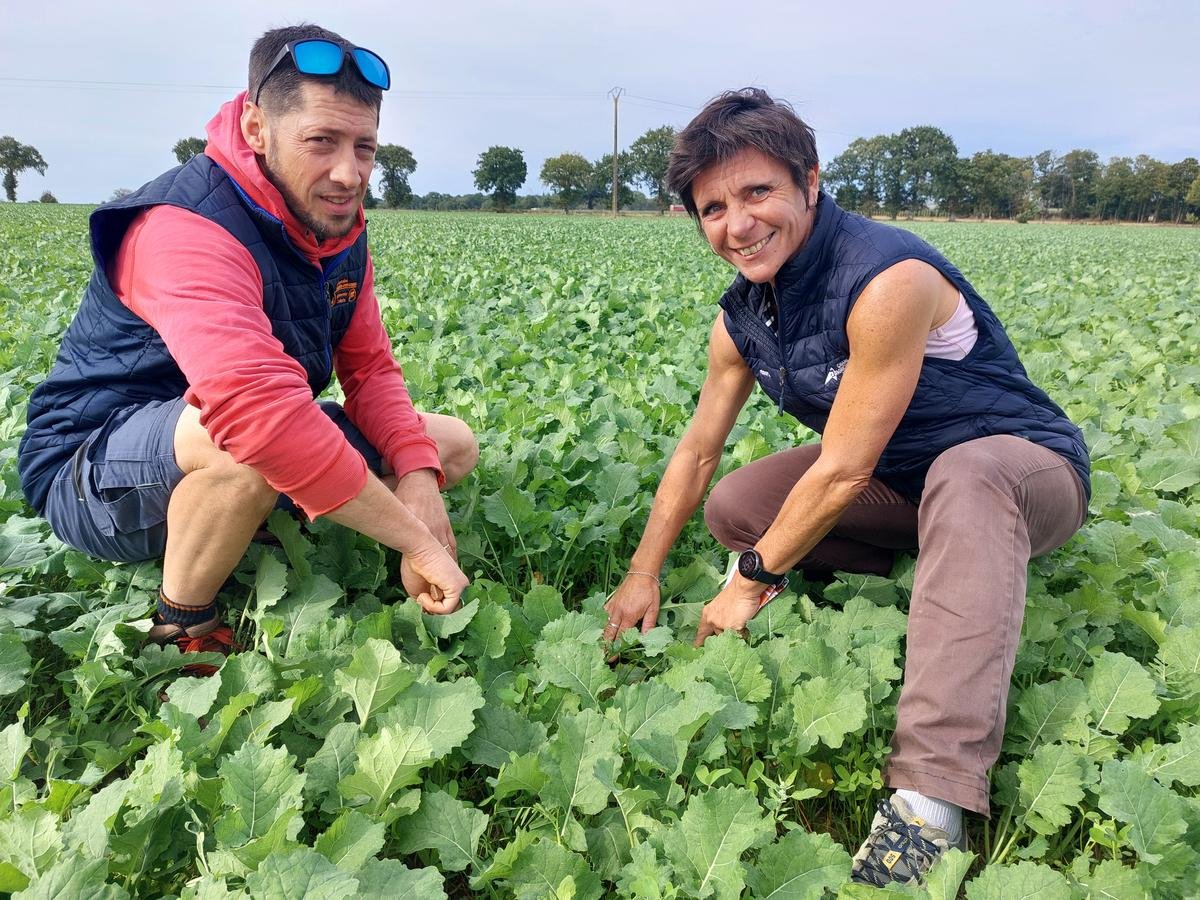 Comment ces agriculteurs bretons sont parvenus à réduire l’usage des pesticides