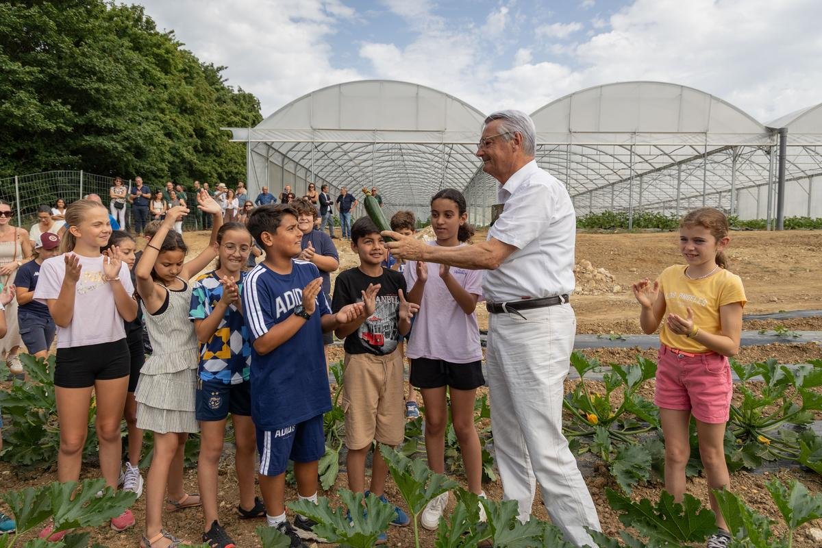 Concombres ou courgettes : à Lormont, la ferme du Grand Tressan nourrit les écoliers