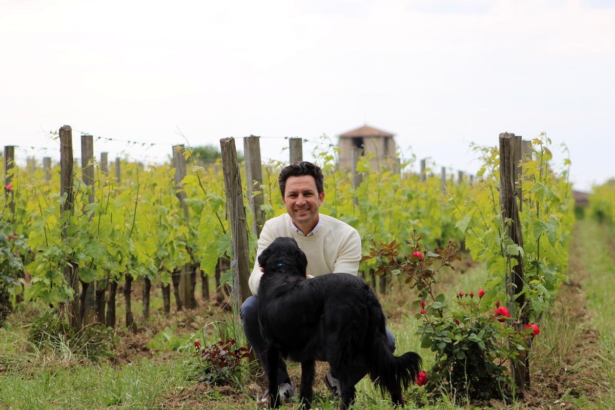 « Clos Fourtet est un havre de paix » : à Saint-Émilion, le coup de cœur gagnant de la famille Cuvelier