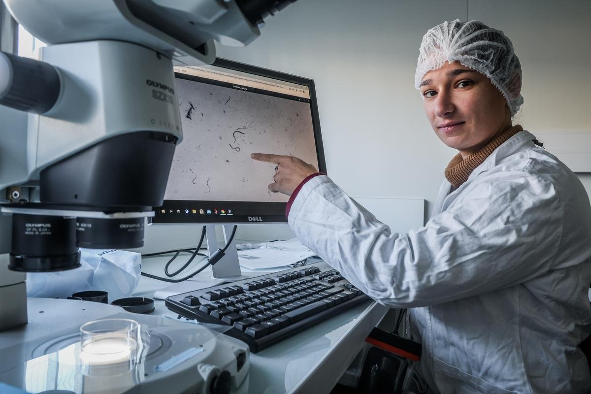 Nématode du pin : sur les traces génétiques de la petite bête