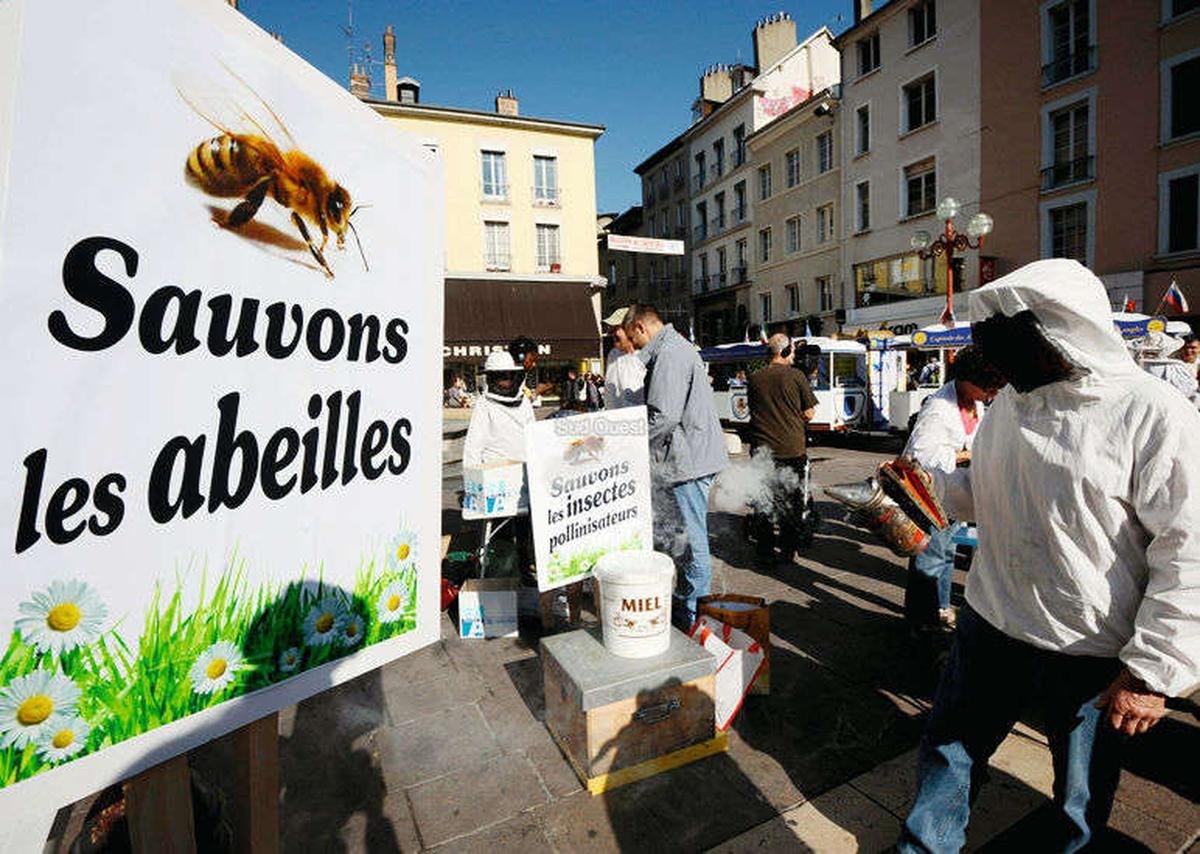 Néonicotinoïdes : quel usage, quels effets ? Que sait-on de ces insecticides toxiques pour l’environnement