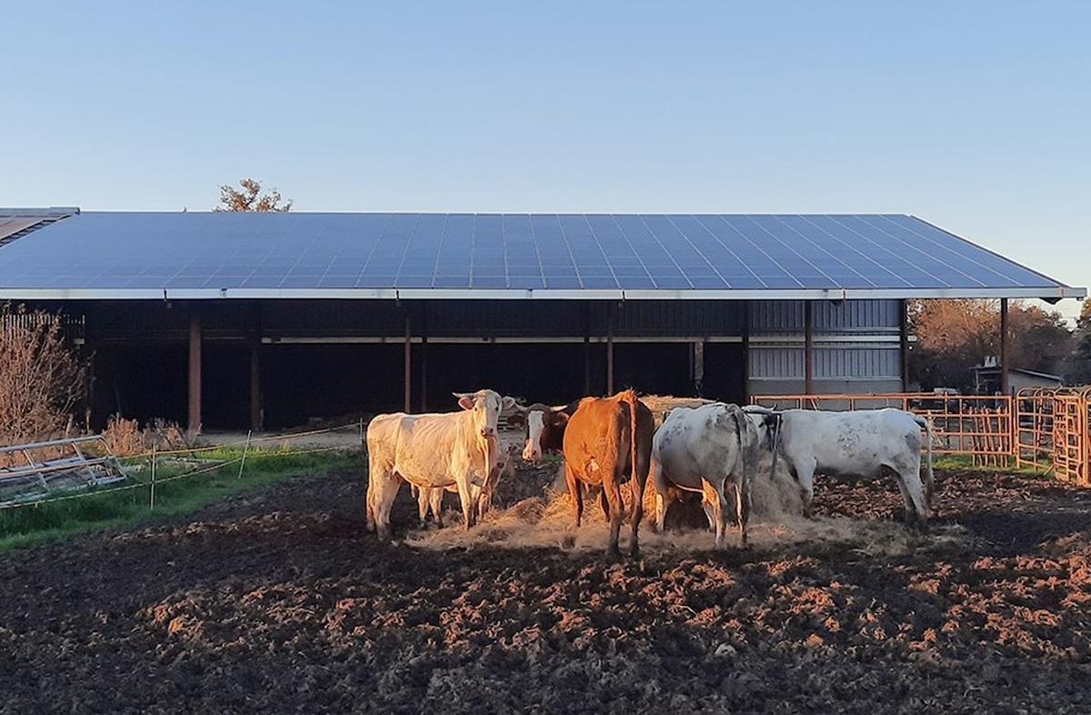 Économie : le Béarnais Cancé crée une marque dédiée aux bâtiments agricoles