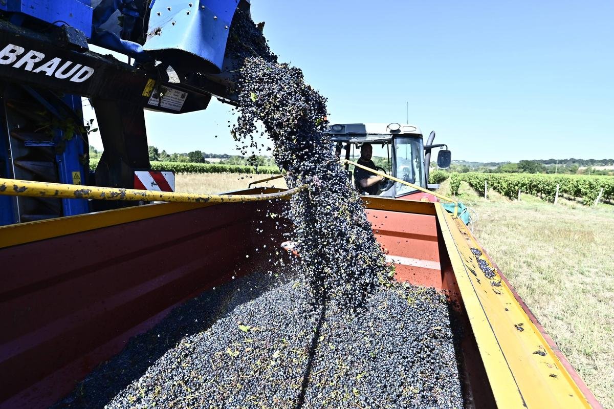 418 000 euros en soutien aux vignerons de la coopérative de Buzet