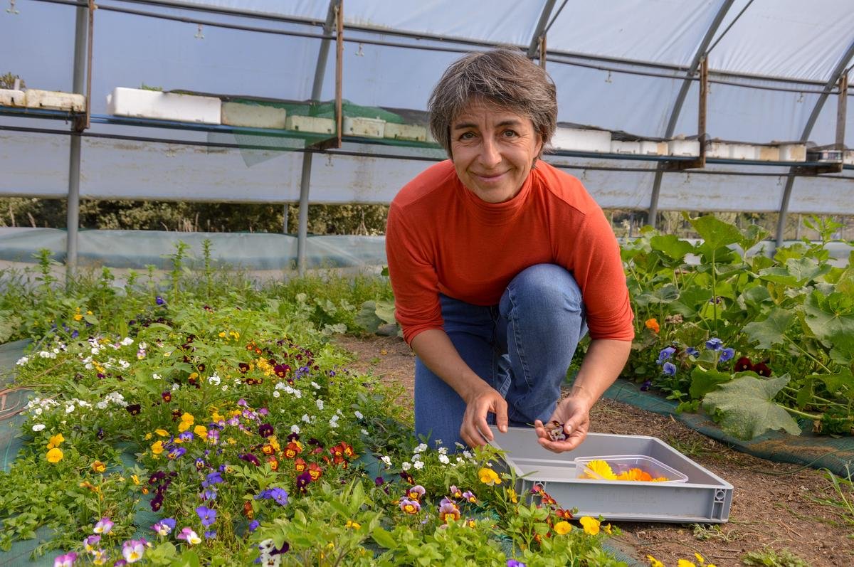 Vacances en Charente-Maritime : durant l’été, de jolies fleurs… à savourer