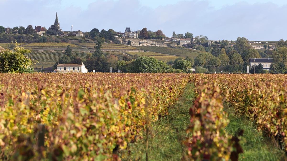 Vins de Bordeaux. « Il n’y a pas grand-chose qui augmente, c’est une litote » : la crise du foncier cogne tout le vignoble