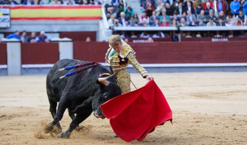 Landes : le cartel de Tyrosse et des douleurs aux côtes pour Clemente dans nos échos taurins