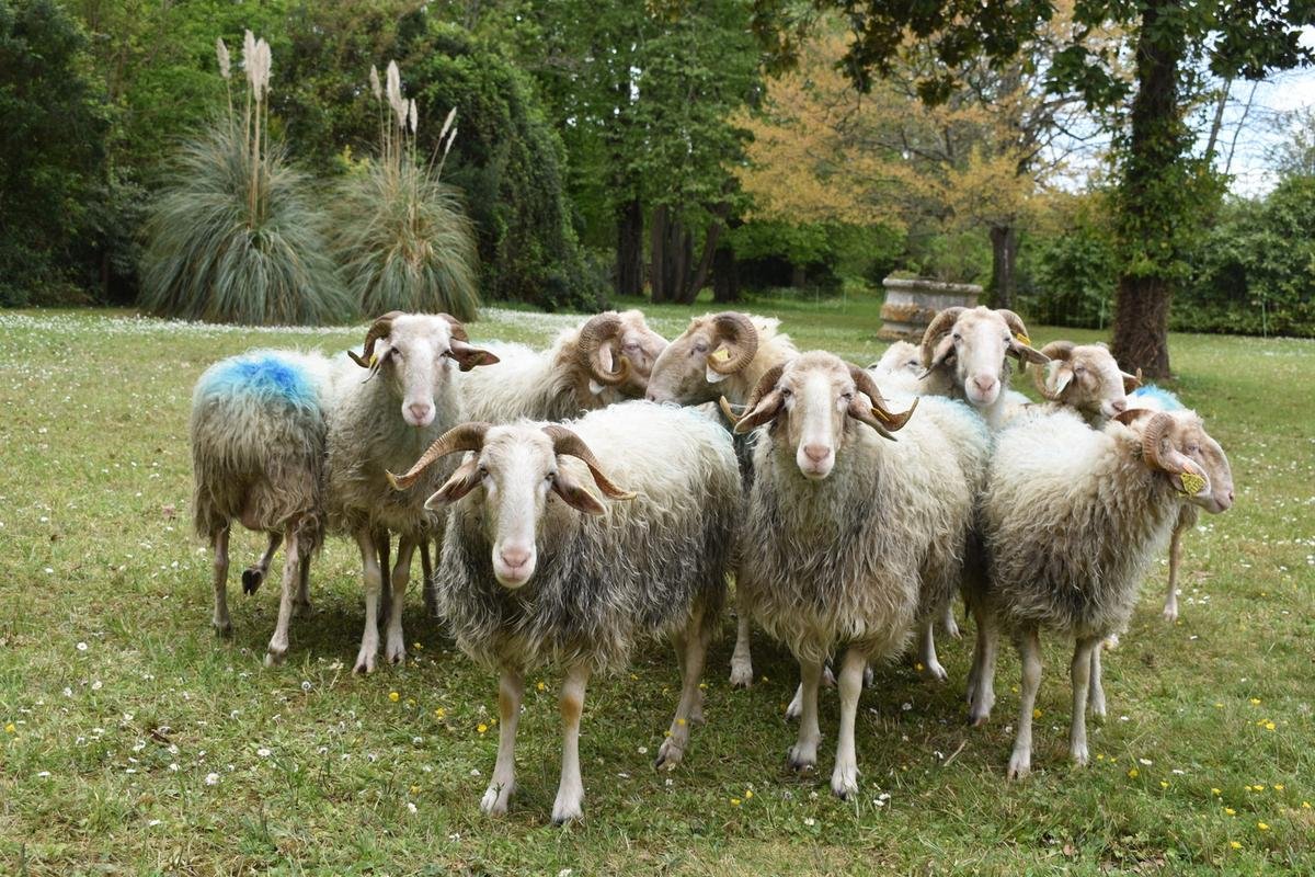 Villeneuve-sur-Lot : Agrobio fête ses 30 ans lors de sa traditionnelle foire