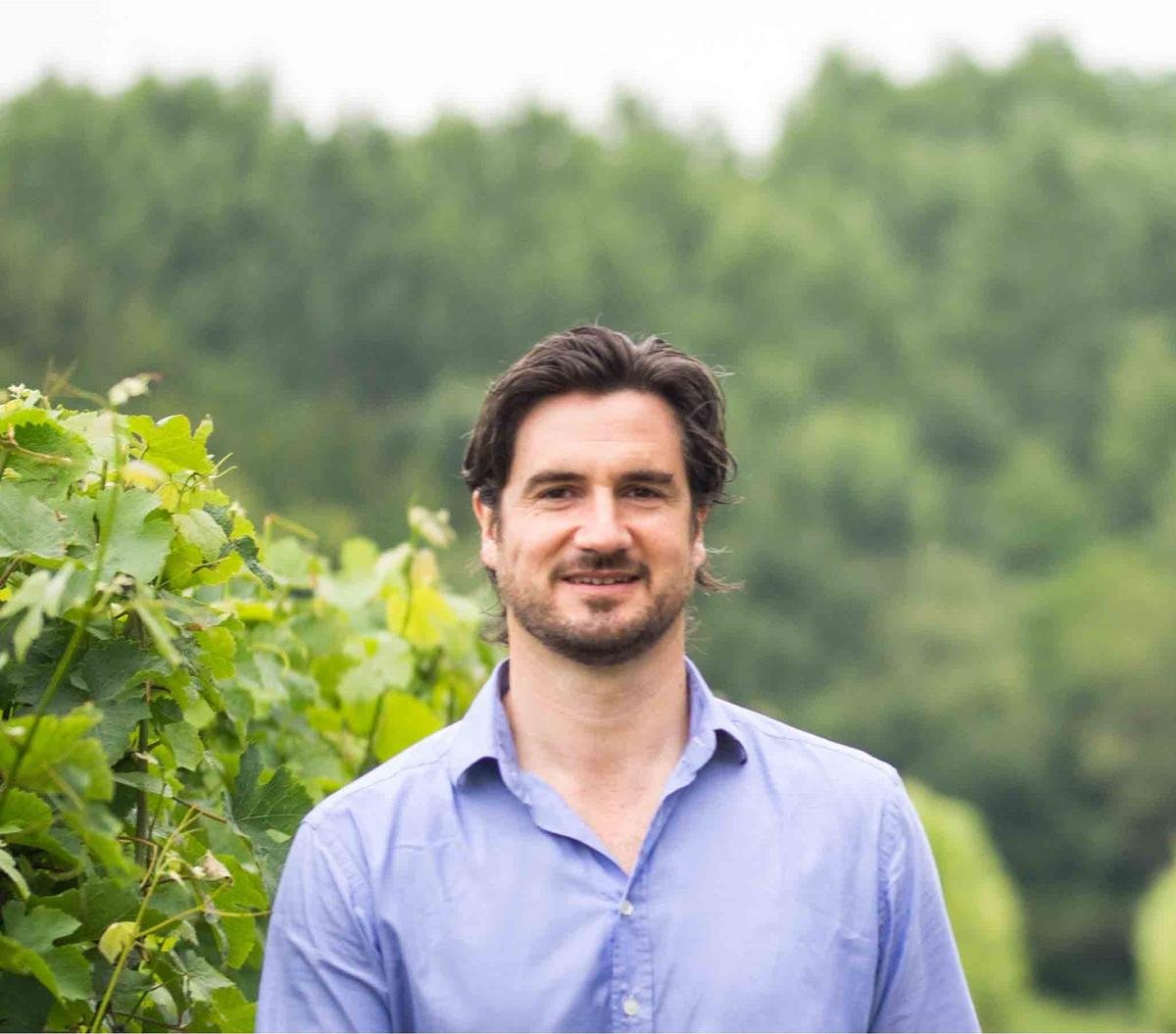 Vins Tariquet : « Il nous faut une bonne récolte 2025 pour nous relancer »